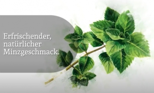 SiselSafe CBD Öl bestellen direkt bei Sisel hier auf der Webseite Bio CBD mit natürlichem Minzgeschmack